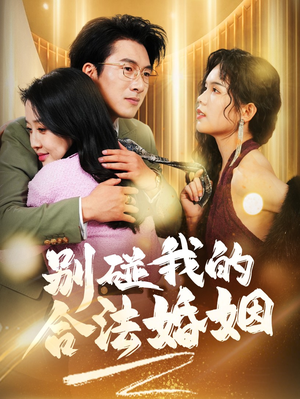 别碰我的合法婚姻（30集）短剧热门分享