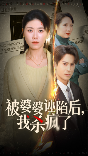 被婆婆诬陷后我杀疯了（30集）完整版免费观看