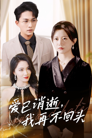 爱已消逝我再不回头（31集）高清无码免费看