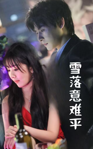 雪落意难平（35集）男频短剧推荐