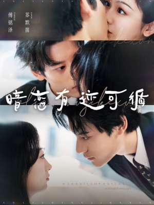 暗恋有迹可循（101集）海量资源免费看