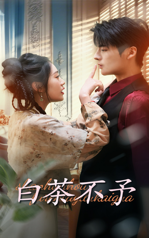 白茶不予（68集）每天短剧分享