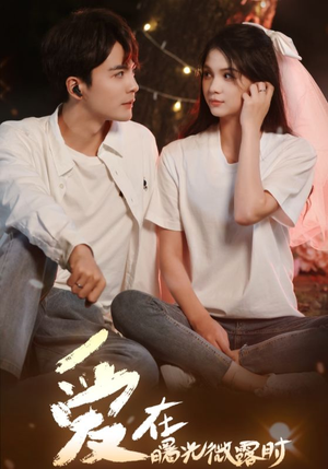 爱在曙光微露时（49集）精彩热门短剧