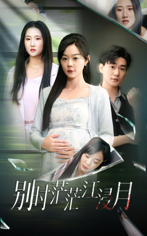 别时茫茫江浸月（30集）全剧免费观看