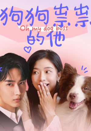 狗狗祟祟的他（52集）爱上了这部剧了