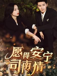 愿得安宁司南情（76集）热播古装短剧
