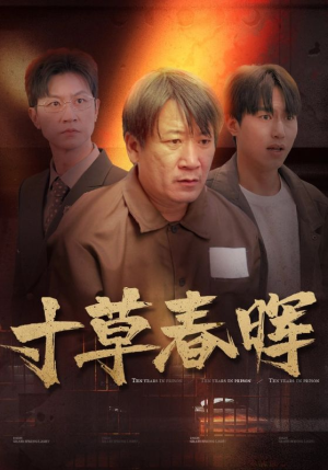 寸草春晖（31集）全集一网打尽