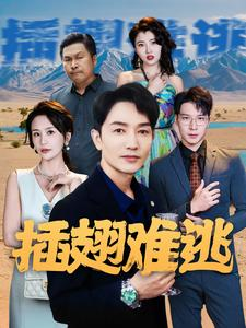 插翅难逃（43集）免费看