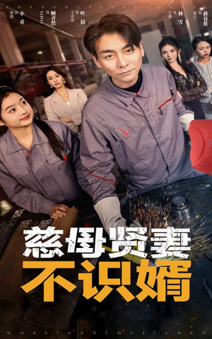 慈母贤妻不识婿（45集）悬疑短剧推荐