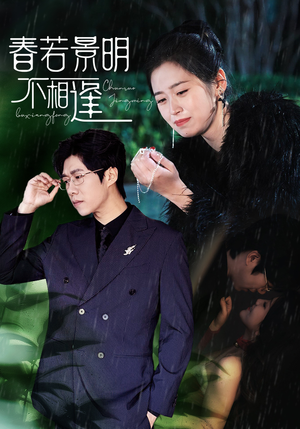 春若景明不相逢（50集）第二季
