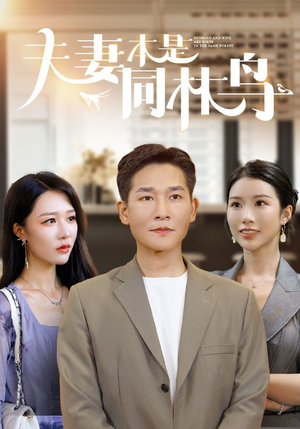 夫妻本是同林鸟（76集）男主角是谁