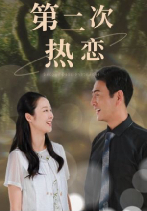 第二次热恋（48集）免费短剧资源