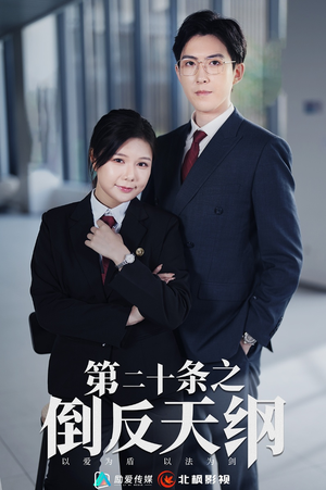 第二十条之倒反天纲（60集）在线看到大结局