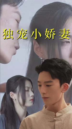 独宠小娇妻（101集）热播古装短剧