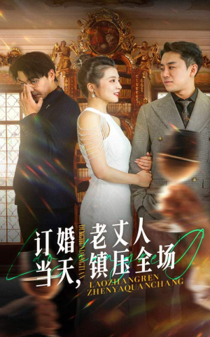 订婚当天，老丈人镇压全场（29集）短剧全集更精彩