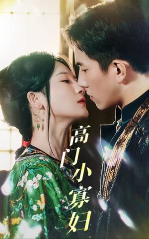 高门小寡妇（60集）全集在线看