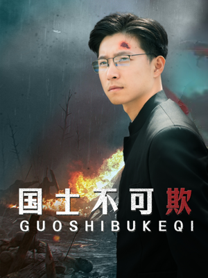 国士不可欺（79集）全剧免费观看