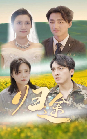 归途（52集）短剧免费看全集