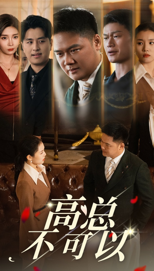高总不可以（45集）一口气看完