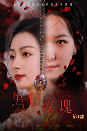 黑暗玫瑰（84集）演的怎么样