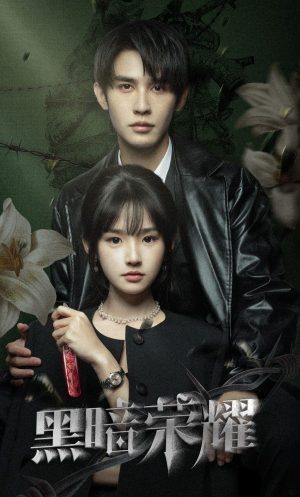 黑暗荣耀（66集）全剧免费观看