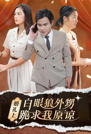 婚礼上白眼狼外甥跪求我原谅（35集）好看的短剧