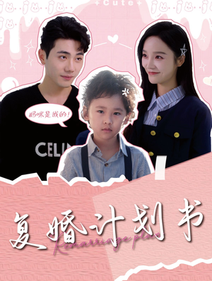 复婚计划书（96集）去哪里看