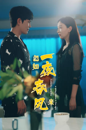 忽如一夜春风来（28集）迅雷网盘观看