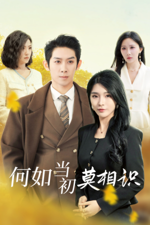 何如当初莫相识（36集）短剧太精彩