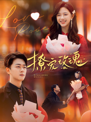 撩宠玫瑰（99集）百度网盘在线看
