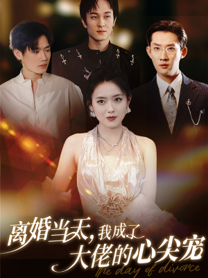 离婚当天，我成了大佬的心尖宠（60集）全集在线看