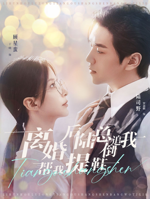 离婚后陆总倒追我帮我提鞋（100集）短剧热门推荐