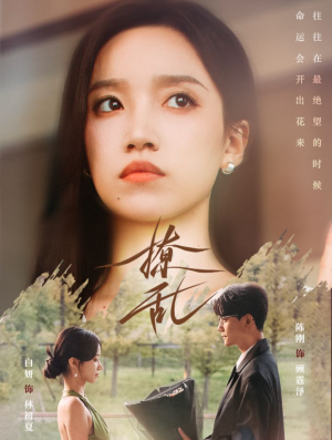 撩乱（65集）每日短剧分享