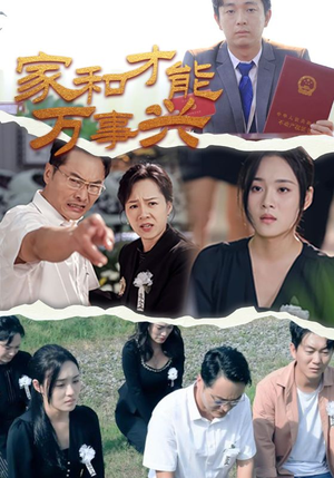 家和才能万事兴（30集）免费短剧推荐