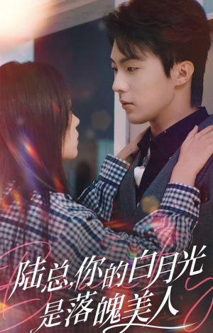 陆总，你的白月光是落魄美人（39集）集免费看短剧