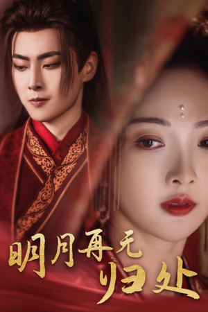 明月再无归处（39集）评价怎么样