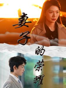 妻子的荣耀（40集）真的好看吗