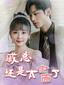 戚总今天追到夫人了么（57集）热播短剧全集看