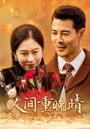 人间重晚情（38集）追短剧看全集