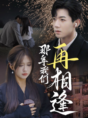 那年我们再相逢（65集）最火爆短剧