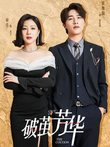 破茧芳华（80集）热播短剧分享