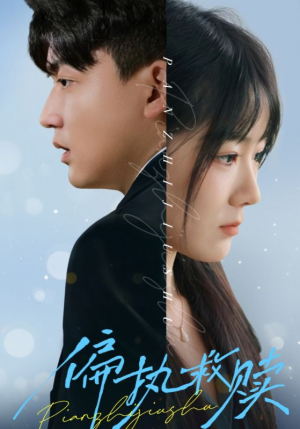 偏执救赎（30集）完整版