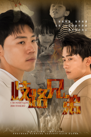 歧路兄弟（63集）甜宠短剧追到爽