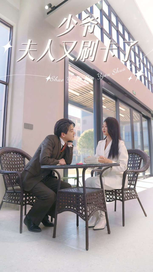 少爷夫人又刷卡了（90集）剧情简介