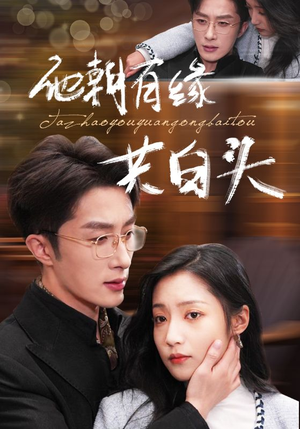 他朝有缘共白头（63集）短剧推荐分享