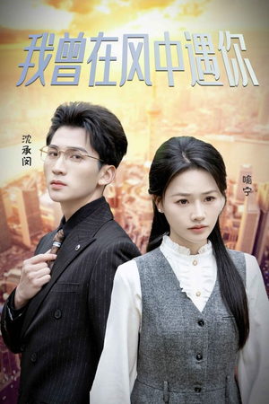 我曾在风中遇你（30集）在线免费观影