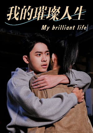 我的璀璨人生（81集）全集在线看