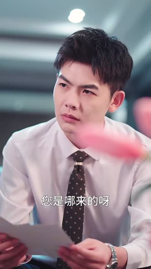 无风絮自飞（36集）太好看了短剧