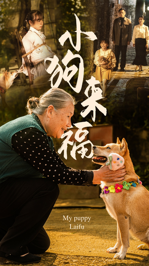 小狗来福（30集）甜宠短剧推荐