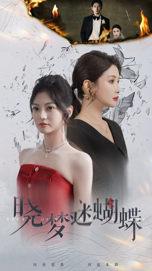 晓梦迷蝴蝶（76集）1-102集
